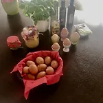 Ubytování ve Vile